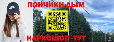 спиды Моздок