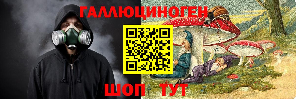 Конопля Камень-на-Оби